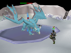 Fighting Vorkath