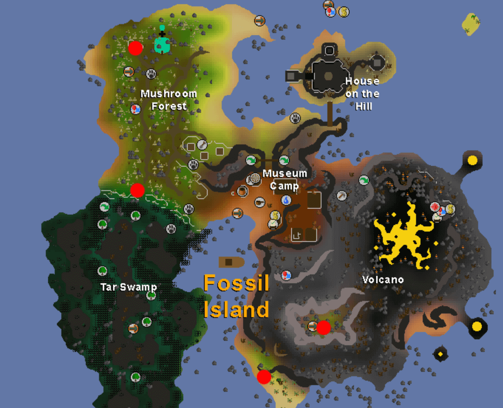 Osrs birdhouse guide